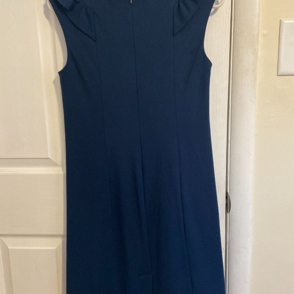 Blue Theme Dress with ruffles around the collar - Picture 3 of 3